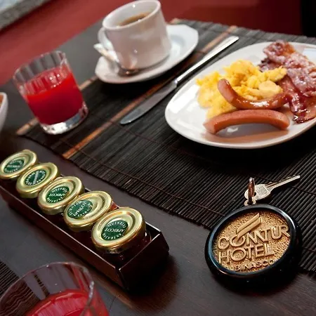 Hotel Comtur Binasco