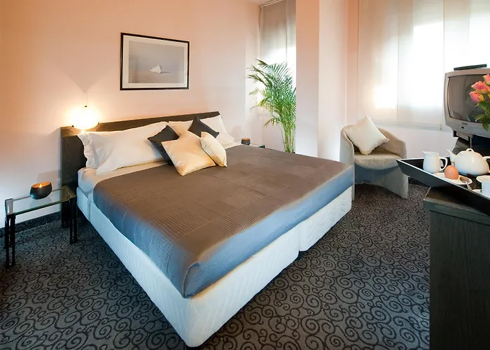 Comtur Otel Binasco